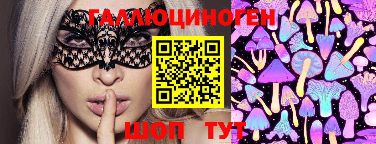 Псилоцибиновые грибы Cubensis Камень-на-Оби