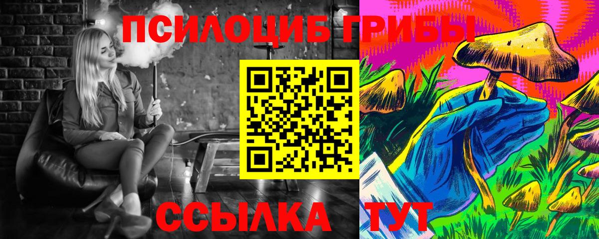 Галлюциногенные грибы Magic Shrooms  Галлюциногенные грибы мицелий  Вход с VPN  Камень-на-Оби 